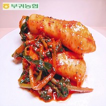 한국농협김치 부귀농협 마이산김치 포기김치3kg+총각김치1kg [명품김치] 국내산100%재료