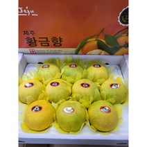 고당도 황금향 제주농장직송 추석선물 선물세트 3kg 5kg, 3box
