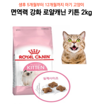 면역력강화 아기고양이 반려묘 키튼 사료 2kg 프로바이오틱스 길고양이 새끼고양이 기호성 어린고양이 마른고양이 잘먹는사료 건식사료