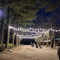 파티라이트 스트링라이트 전등선 야외조명 경관조명 루프탑 캠핑 까페 펜션용 감성조명 무드조명 11M 20구, 파티라이트 11M20구, BLACK