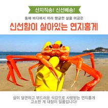 포항 대게 맛집 붉은 홍게 (영덕 울진 포항 연지 박달 3kg), 2.육수용홍게찜(10마리)