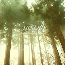 히노끼 L-Type 타입향기 국내S FO 프래그런스 오일 (용량별) 캔들 석고방향제 디퓨저 향수 비누 화장품 만들기, 1L