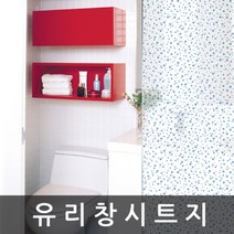 유리 창 시트지 샤워부스 필름 1m x 1m (T670)