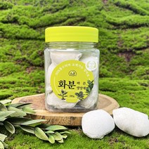 트리맘 바른 화분영양제280g- 식물영양제 고형비료, 단품