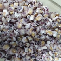 강원도 홍천 말린 거피 옥수수쌀 흑 찰 옥수수 1kg 산지직송, 미흑 거피 옥수수 1kg