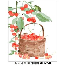 DIY 그리기 페인팅 워터아트 체리버킷 40X50 액자, 단품