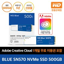 [WD대리점] WD Blue SN570 M.2 2280 500GB 공식 인증 정품 무상AS 5년, WDS500G3B0C