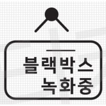 블랙박스 녹화중 스티커 데칼 튜닝 카니발 익스플로러 그랜져 베뉴 더뉴코나 차량 쏘나타DN8 QM3 스타렉스 문구 GV70 K7 올뉴K3 스파크 TG 올란도 SM5, 블랙, B타입