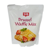 베이킹파티 브뤼셀 와플믹스 1kg 선인