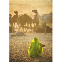 클레멘토니 사막에 낙타와 사리를 입은 여인 1000피스 직소퍼즐 CL39302