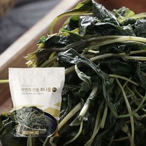 자연의선물 강원도 냉동취나물 150g x 10봉, 단품