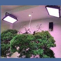 LED 햇빛등 재배 난초 성장등 조명 플라워 인공태양, 아웃도어 방수 풀 스펙트럼 50W 스탠드 세트