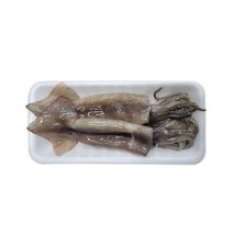 자연산 손질 통 오징어 1팩 2미 오징어볶음 튀김 해물 라면 간편 술안주 데친오징어 오징어순대 간단