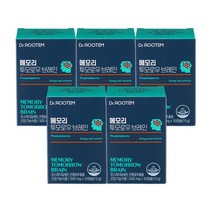 포스파티딜세린 징코 식약청인증 기억력 인지력 개선 PS 은행잎추출물 집중력 포스파딜세린 포스파디딜세린 포스타 티 딜 세린 영양제, 5개, 30캡슐