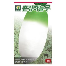 애기방울다다기 양배추 500립 방울양배추 양배추씨앗 양배추씨 채소씨 채소씨앗 야채씨 야채씨앗, 07_다농_춘강하늘 무(5g)