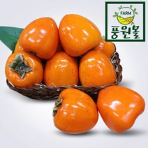 산지직송 고당도 대봉감 5KG/10KG, 대봉감 5kg 15과내외