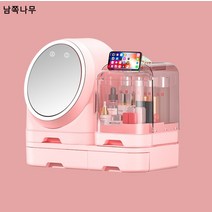 선풍기 화장품 수납함 왕홍 대용량 립스틱 마스크 시트 스킨케어 테이블 정리 세트 선반, 2021(드림파우더)LED조광+소프트팬