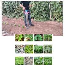 한손 이식기 모종 고추 콩 파종기 감자 심기 만능 심는 기구 옥수수 가지 깨 채소 상추 무우 말뚝박기, 싱글-한손핸들