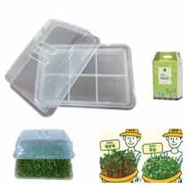 아시아종묘 새싹재배기 다용도재배용기 + 씨앗2종(각 30g) 포장박스포함