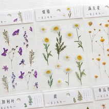 압축꽃 압화 꽃 스티커 다이어리 다꾸 앨범 꾸미기 6종 [Pressed Flower Stickers for Diary Album Decoration 6 Options], 클로버(Clover)