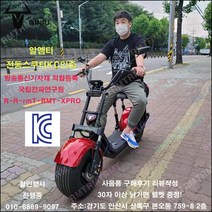 알엠티 KC인증 QINIU 유럽바리크 할리 전동스쿠터 플러스 업그레이트 엑스프로 레드, RED레드