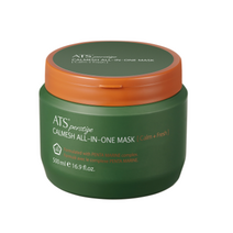 ats 퍼스티지 카미시 올인원 마스크 500ml 두피모발케어