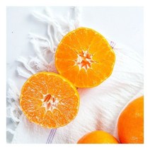 [넉넉]제주 직송 조생귤 2.5kg소과(꼬마) 감귤