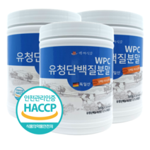 백세식품 WPC유청단백질분말100% 300g통 독일산 HACCP 인증제품, 4통, 300g
