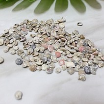 캔들바다 첨가물 데코장식 - 미니동글조개 (30g) #젤캔들첨가물 #젤캔들데코