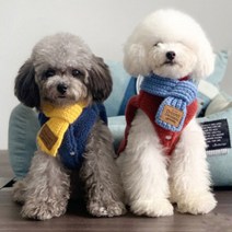 [헬로펫]강아지 손뜨개 니트 목도리 고양이 스카프 머플러, S, 블루