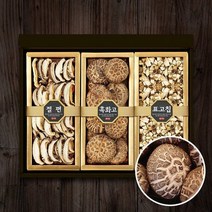 명절이후배송산지직송 참나무 표고버섯 선물세트 웰빙5호 -인증