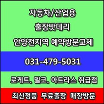 과천밧데리 다마스 교체 과천배터리-과천정부청사 문원동 원문동 별양동 과천동 중앙동