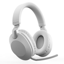 MAXFIT 블루투스 노이즈캔슬링 헤드폰 무선 헤드셋 MS-B2, 실버