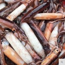 동해안 선동 오징어 통오징어(1kg 3~4미), 1팩, 오징어(급냉)1kg