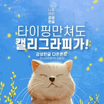 다온폰트 타이핑치는 캘리그라피 마스터플러스 1년 쿠폰, DAON MASTER PLUS / 12