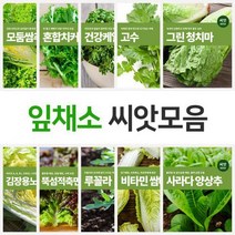 모둠쌈채 쌈추 상추 치커리 건강케일 개똥쑥 경수채 곤드레 루꼴라등 잎채소 쌈채소 모음, 비타민쌈배추
