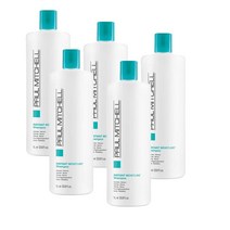 폴미첼 인스턴트 모이스쳐 샴푸 하이드레이트 드라이 헤어 1L Paul Mitchell Instant Moisture Shampoo, 5개