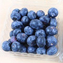 프리미엄 생블루베리 칠레산 (한팩당 125g내외), 12팩, 한팩당 125g내외
