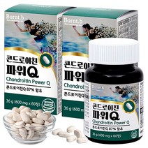 본트비 콘드로이친 파워Q, 60정, 2개