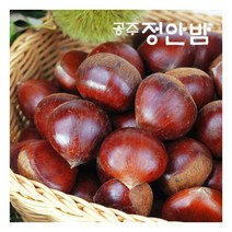 23년산 공주밤 정안 알밤 햇밤 2kg(특품/개당25g내외) 푸드마인