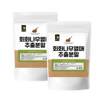 회화나무 열매 추출물 분말 가루 회화열매 차 괴곽 소포리코사이드 효능 중년여성 추천, 500g, 2팩, 500g