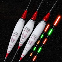 파라폭스 LED 라이트 스마트 나노 전자 찌 대물 붕어 낚시 장찌, pf040, YD08