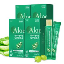 바른 장피부면역엔 알로에젤리 유기농면역젤리 100% 알로에베라겔, 20g x 14포, 4박스