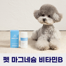 강아지 슬개골 눈물영양제 퓨어마그프로 60g 마그네슘 비타민B, 3개