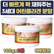 어류 콜라겐 저분자 어린 collagen 히알루론산 먹는법 아세로라추출분말 100% 홈쇼핑 흡수 퓨어 30대 40대 50대 60대 생일 선물 프리미엄 피시 파우더 가루 고르는법