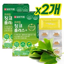 뇌에좋은영양제 징코플러스 포스타딜세린 뇌혈관영양제 혈액순환개선제 징코빌로바 은행잎추출물 기억력개선 기억력영양제 포스파티딜세린 두뇌영양제 집중력영양제 뇌거강식품
