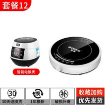 2200W 원형 1구인덕션 캠핑 1인용 일구 인덕션 미니 가정용 캠핑용 전기 소형 렌지, 일반형, 독립형+밥솥