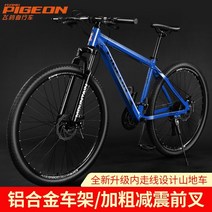 mtb자전거 접이식 카본 산악 자전거 성인 가변 속도 알루미늄 합금 프레임 오일 디스크, 24인치, 비행 비둘기 랩터 알루미늄 합금 내부 케이블 디스, 2-30단