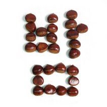 알밤 (대) 1kg 2022년 햇밤 국내산 군밤용 밤 생밤 (칼집X) 쪽빛누리, 본품