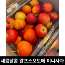 [국내산/국산] 알프스오토메 미니사과 3kg 1kg 데코용 케이크용 꼬마사과 한입사과 루비사과 알프스 오토메 루비에스미니사과 미니사과 알프스오토메2kg, 데코용 1kg